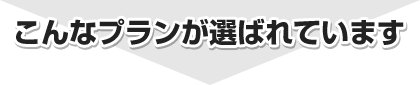 こんなプランが選ばれています