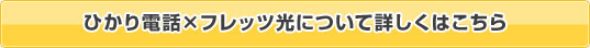 ひかり電話とフレッツ光について詳しくはこちら
