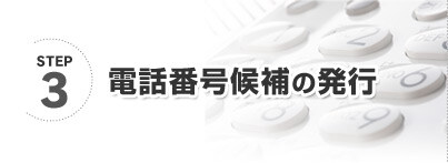 電話番号候補の発行