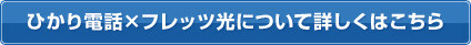 ひかり電話とフレッツ光について詳しくはこちら