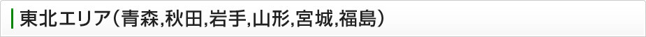 東北エリア（青森、秋田、岩手、山形、宮城、福島）の固定電話