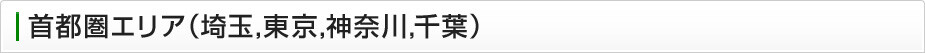 首都圏エリア（埼玉、東京、神奈川、千葉）の固定電話